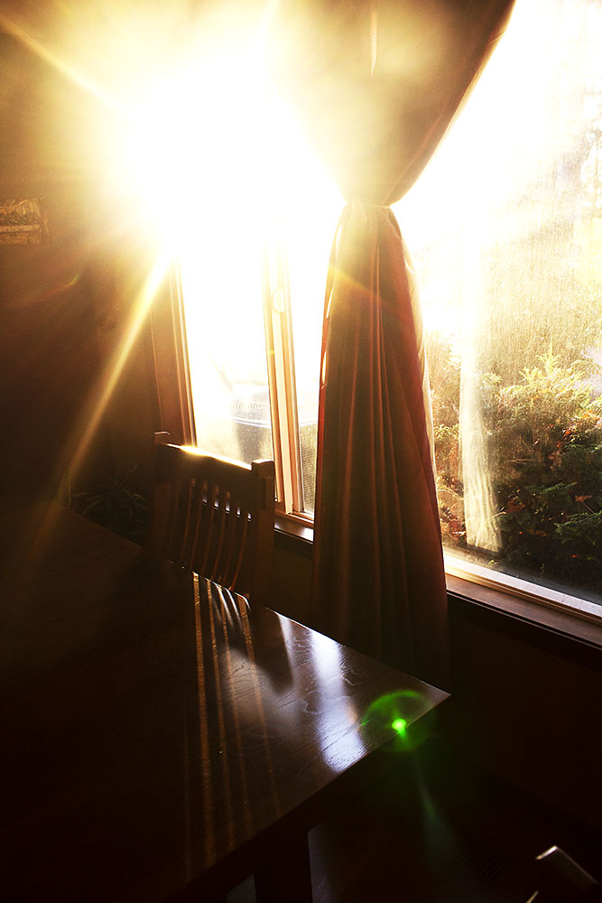 An end of college photography project called "This is for you"